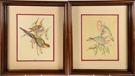 Pair of J. Gould Prints
