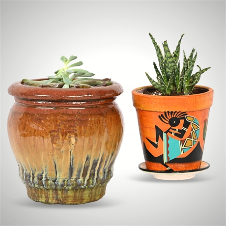 Rescue Me! Pair of Decorative Planters with Succulents