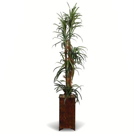 6.6' Faux Dracaena Tree