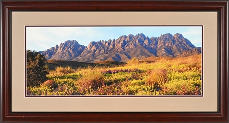 Mike Groves Panoramic Photograph – Organ Mountains Desert Bloom