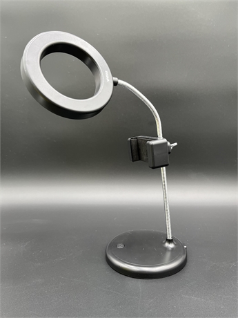 VIVITAR 2-IN-1 VOGGING DESK LAMP