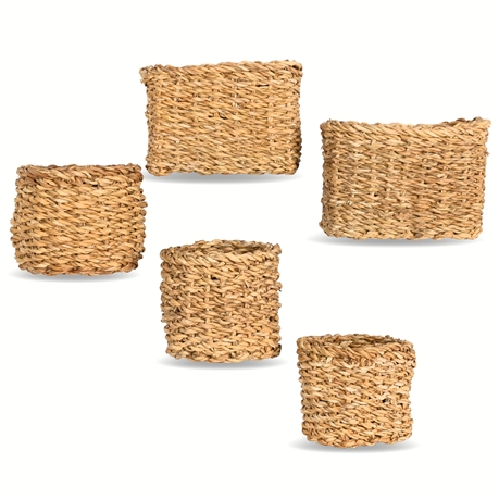 (5) Décor Baskets