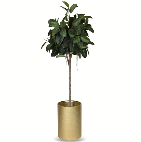 7.5' Faux Rubber Fig Tree