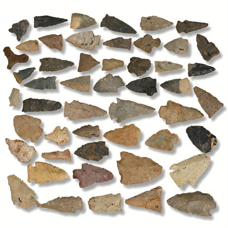 Benton Broad Stem Arrowheads