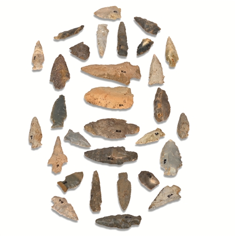 Benton Broad Stem Arrowheads