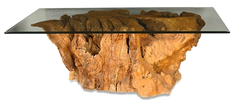 Massive Mid-Century Burl Wood Coffee Table