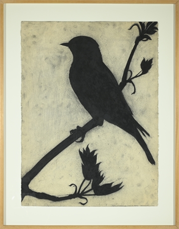 Orleonok Pitkin -  Mute Songbirds: Eastern Bluebird