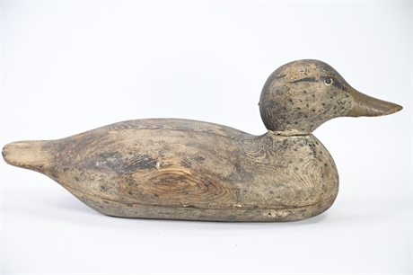 Antique Loons Decoy Duck