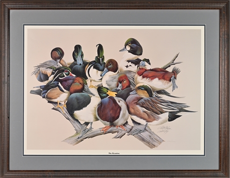 Ducks Unlimited Framed 'The Reunion' Print