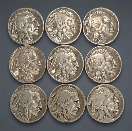 1937 Buffalo Nickel Collection - 9 Coins (8 Philadelphia, 1 Denver)