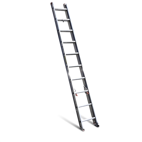 Werner 20' Extension Ladder
