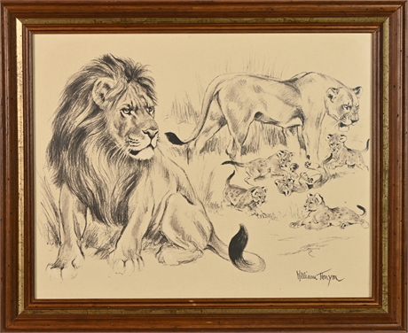 William Timym Lion Print
