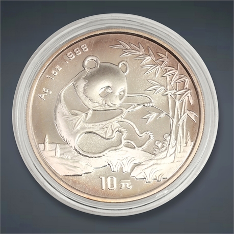 1994 10 Yuan Silver Coin (1 oz)
