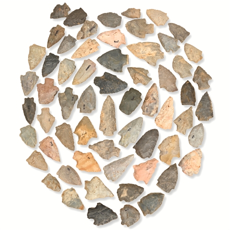 Benton Broad Stem Arrowheads