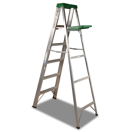 Werner 6 ft Aluminum Ladder