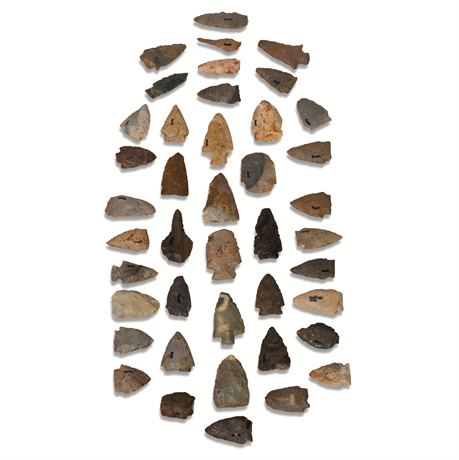 Benton Broad Stem Arrowheads