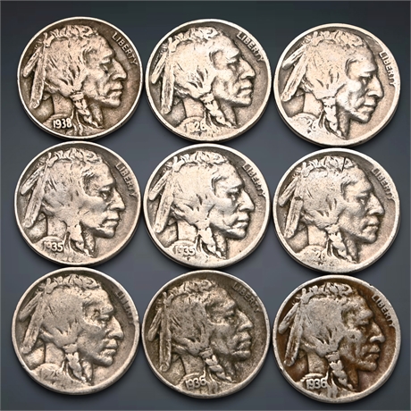 (9) Buffalo Nickels