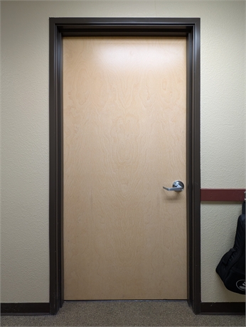 Timely 1.5-Hour Fire-Rated Door & Steel Frame – 35.5" x 83.5"