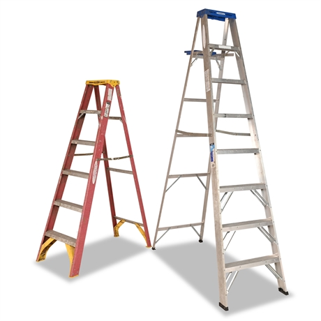 Werner 6' and 8' Ladders