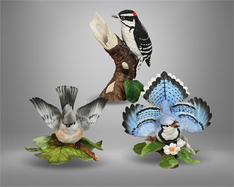 Lenox Blue Jay / Woodpecker and Titmouse