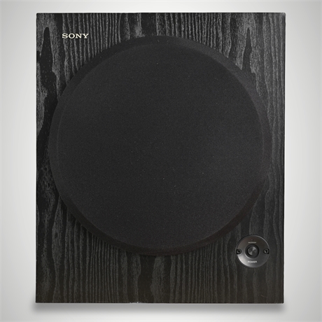 Sony SA-WM500 Active Subwoofer — 120W Powered Bass Speaker
