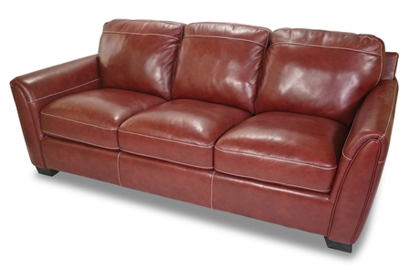 Contemporary Leather Sofa and Ottoman