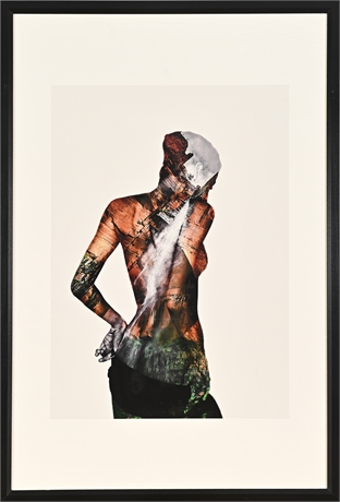 Archan Nair “Wild Nature 2” Art Print – Framed