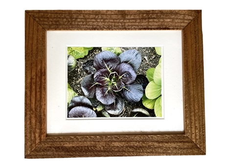 Hand Crafted Framed Photo