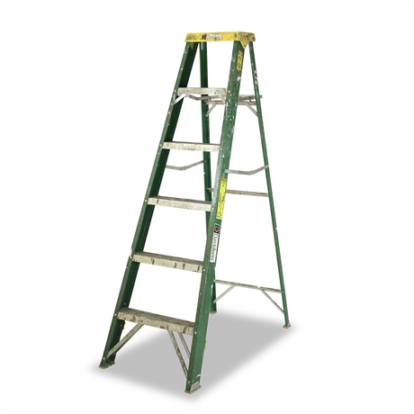 6' Fiberglass Davidson Ladder