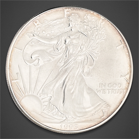 1993 United States Silver Eagle – One Dollar, Silver