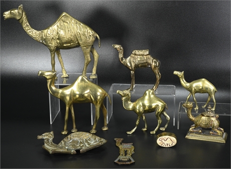 Brass Camel Collection