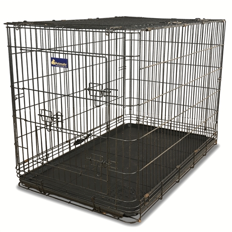 Petmate Deluxe Wire Dog Kennel, Collapsible, 2 Doors, 48.5"x30"x34.5"