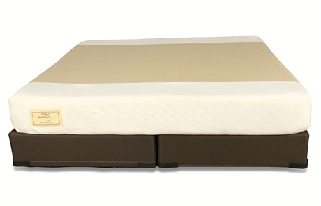 Embody by Sealy® King Memory Foam Mattress