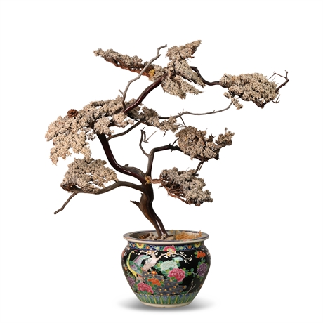 Dried Bonsai in Fishbowl Style Pot