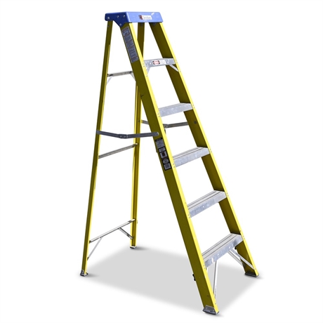 Davidson Pro 6' Fiberglass Ladder