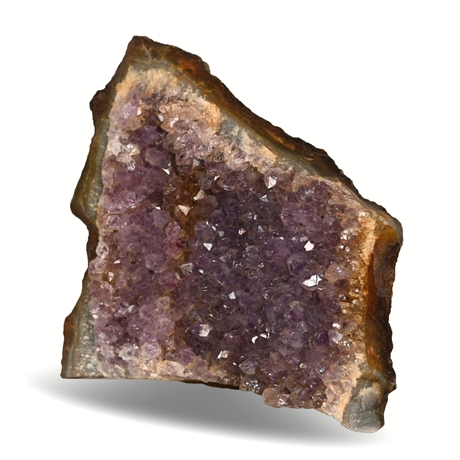 5.5" 396 gram Amethyst Cluster