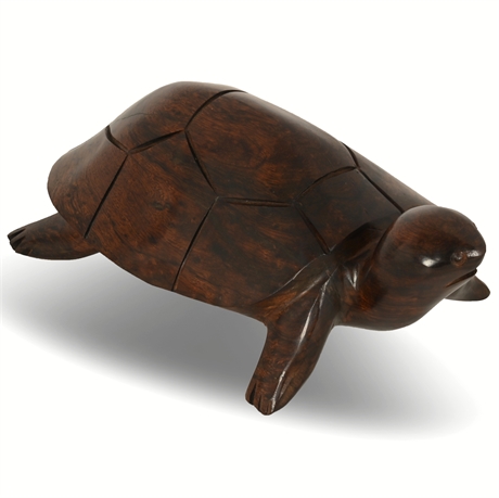 Ironwood Turtle