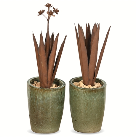 Pair of Iron Agave Sculptures in Glazed Ceramic Pots