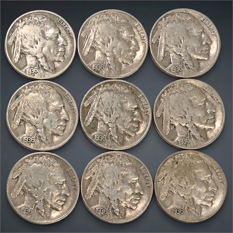 1936 Buffalo Nickel Collection - 9 Coins
