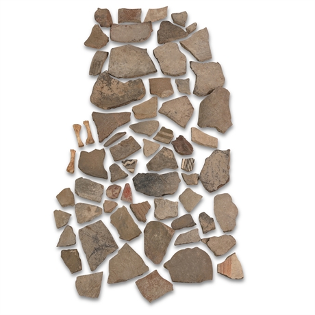 New Mexico Found Pottery Shards