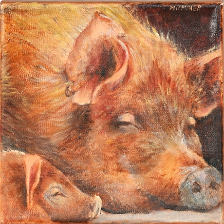 Betty Hummer 'Naptime' Oil on Stretched Canvas