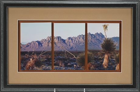 Mike Groves Triptych Organ Mountains