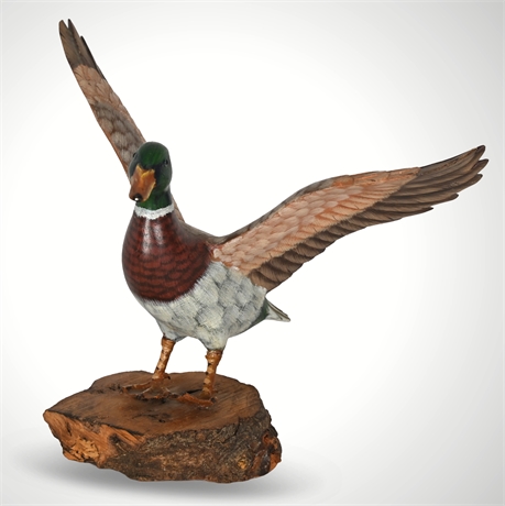 Mallard in Flight Carved & Painted Sculpture