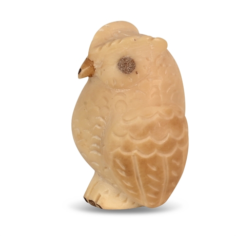 Carved Nut Owl