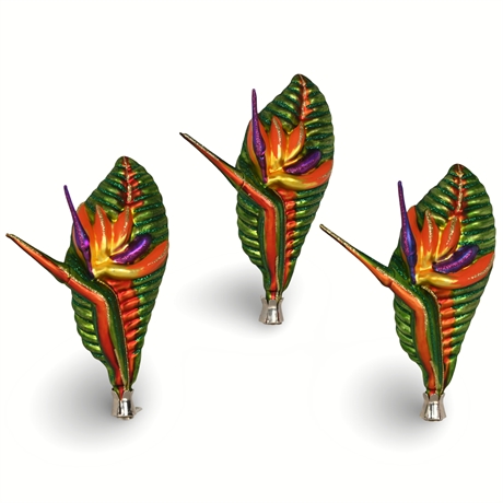 Tannenbaum Treasures Birds of Paradise Blown Glass Ornaments