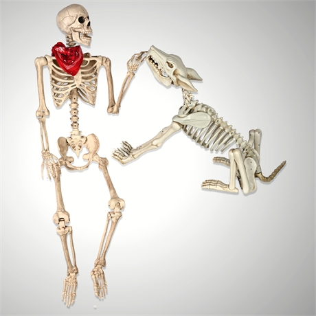 🎃 Life-Size Posable Skeleton & Animated Dog Skeleton w/ Light-Up Eyes