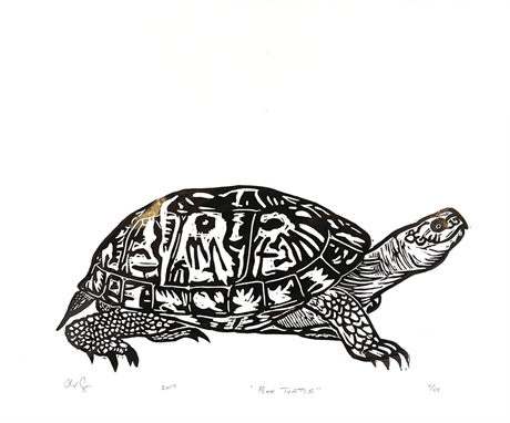 Box Turtle Woodcut