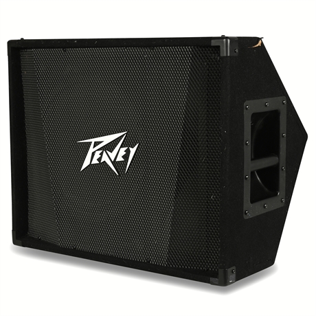 Peavey PV 12M 2-Way Floor Monitor