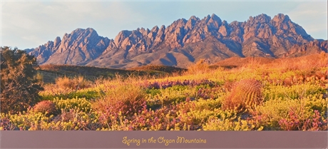 'Spring in the Organ Mountains' Poster