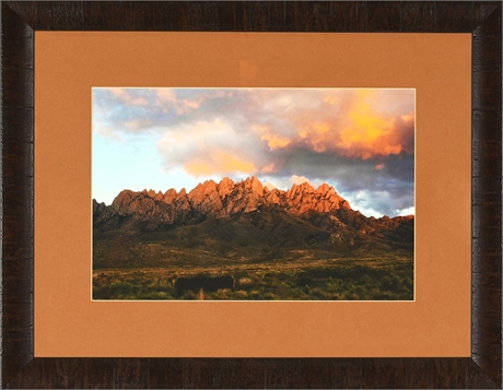 Organ Mountain Framed Print